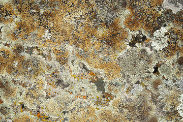 the surface of old slate stone for background, texture