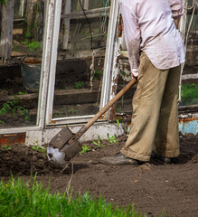 A man digs the ground with a shovel in the garden