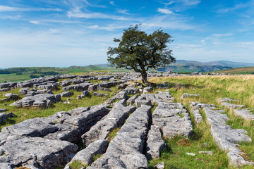 Limestone pavements at the Winskill Stones near Settle