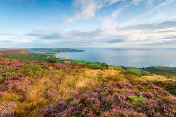 The View From Ravenscar to Robin Hood's Bay