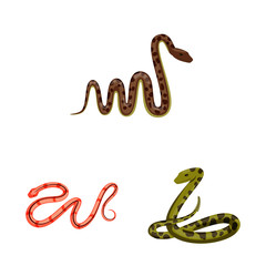 Vector illustration of poison and evil logo. Collection of poison and bite stock vector illustration.