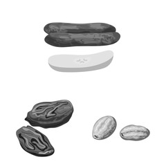 Vector illustration of vitamin and nature logo. Set of vitamin and dried vector icon for stock.