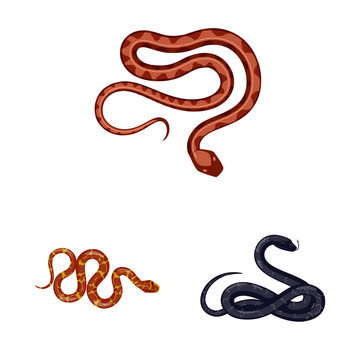 Vector design of poison and evil sign. Collection of poison and bite stock vector illustration.
