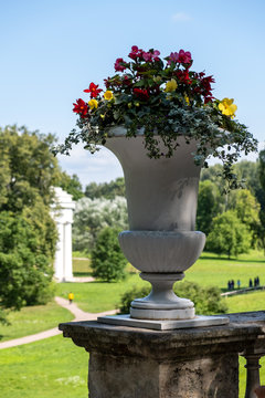Pavlovsk Park, St. Petersburg, amphora with flowers in the palace gardens