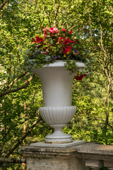 Pavlovsk Park, St. Petersburg, amphora with flowers in the palace gardens