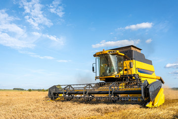 Fototapeta na wymiar Photo of yellow combine harvesting wheat, blue sky.