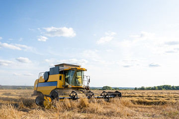 Fototapeta na wymiar Image of yellow combine harvesting wheat, blue sky.