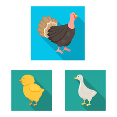 Vector design of breeding and kitchen logo. Collection of breeding and organic vector icon for stock.