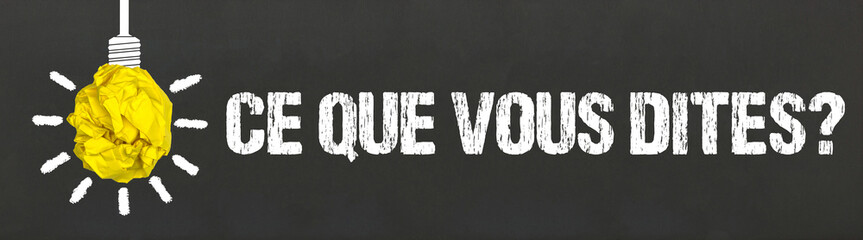 Ce que vous dites?