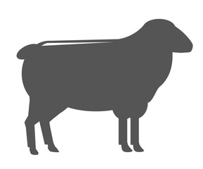 Black silhouette of a sheep. Isolated on a white background. Vector illustration.