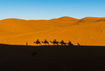 Camels caravan shadows projected over Erg Chebbi desert sand dunes at Morocco