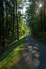 Fototapeta na wymiar A tiny winding road of Belledonne goes thru the forest