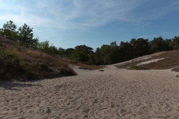 The Brunsummerheide a national park in South Limburg a hotspot for outdoor activities like walking, hiking, mountain biking, running and an active lifestyle
