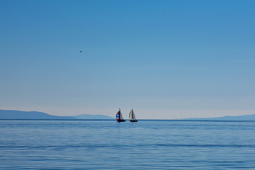 Fototapeta premium sailboat on the sea