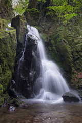 Fototapeta premium 不動滝