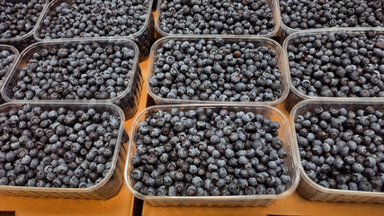 Fresh blueberry in plastic box at market, healthy food