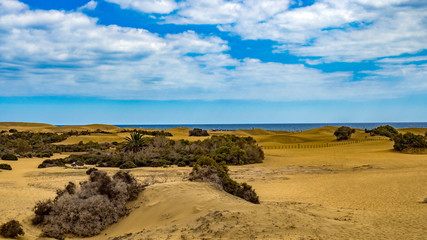 Maspalomas auf der Insel Gran Canaria