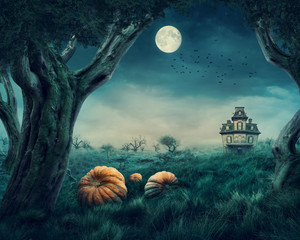 Haunted house
