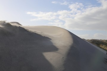 Fototapeta na wymiar Amrum sand dunes North Frisia