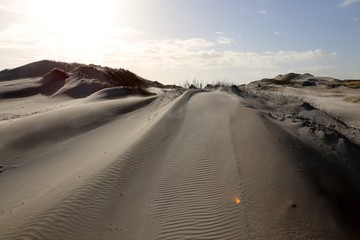 Amrum sand dunes North Frisia