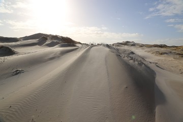 Amrum sand dunes North Frisia