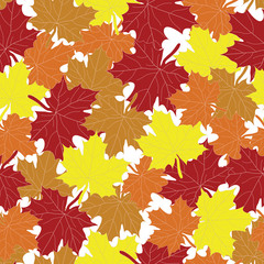 Colorful maple seamless pattern on white background. 