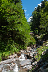 Fototapeta na wymiar August summer day in the forest of the Caucasus mountains in a park of waterfalls on a mountain river.