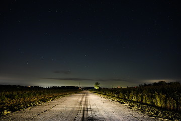 Road to New Hope. Country Road lite up at night by the starry sky