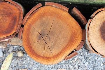 Logs have been deforested.Rare forest trees