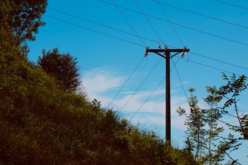 Obraz premium electricity tower in the mountain in the nature