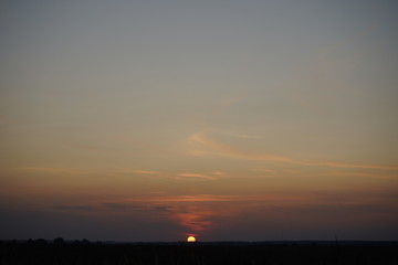 Spikelets of grass in the rays of the evening sun. Sunset on the field. Grass in the backlight of the sun.