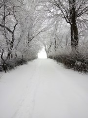 winter vilage road