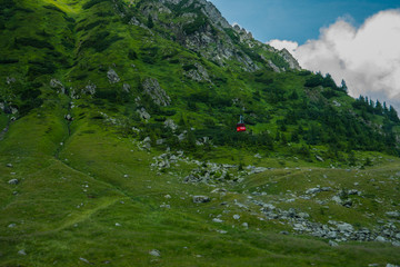 Fototapety na wymiar - Fototapeta24.pl