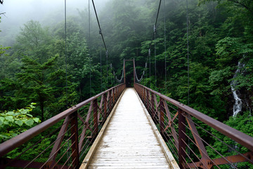 Bridge and waterfall visible from there
