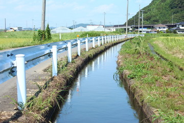 石巻市　水田
