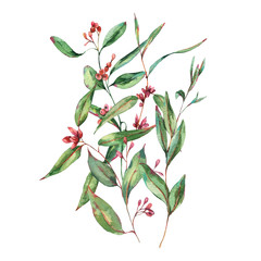Watercolor Eucalyptus Leaves, Natural Wedding Invitation, Vintage Watercolor Greeting Card