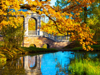 Russia. Saint-Petersburg. Autumn park. Golden autumn in the royal village. A suburb of Petersburg....