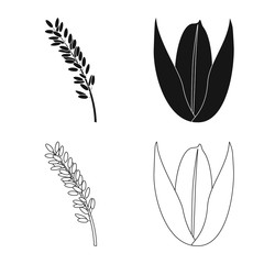Vector design of crop and ecological sign. Collection of crop and cooking vector icon for stock.