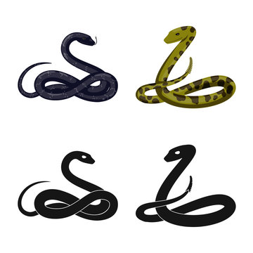 Vector illustration of mammal and danger logo. Set of mammal and medicine vector icon for stock.