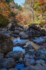 渓流と紅葉