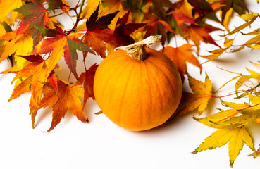 Autumn fallen leafs and small pumpkin