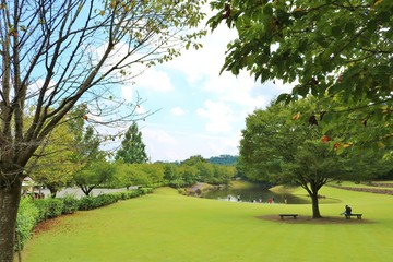 風景　夏　空　池　緑　杤木　公園