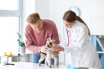 Man with his dog visiting veterinarian in clinic