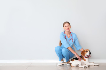 Female veterinarian with cute dog near light wall