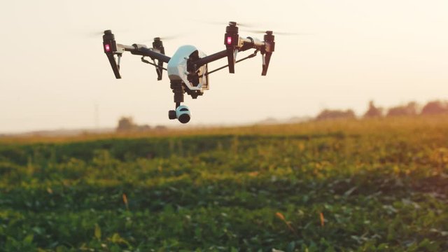 At sunset smart agriculture drone flying in sky rural aerial helicopter agros copter farm farming field industry landscape meadow nature plant vehicle aircraft harvest innovation slow motion