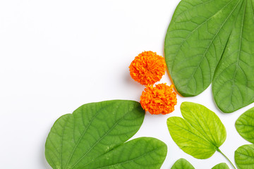 Happy Dussehra greeting card Green Leaf and Flower