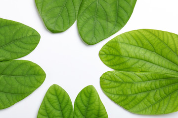 Happy Dussehra greeting card Green Leaf and Flower