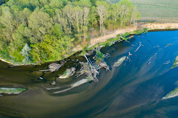 Arbres tombés dans l'Allier avant le Bec d'Allier et la Loire