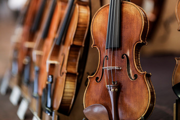 Fototapeta premium Details with parts of violins before a symphonic classical concert
