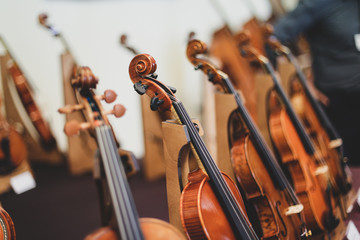 Details with the scroll, peg box, tuning pegs, strings, neck and fingerboard of a violin before a...